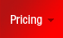 Pricing